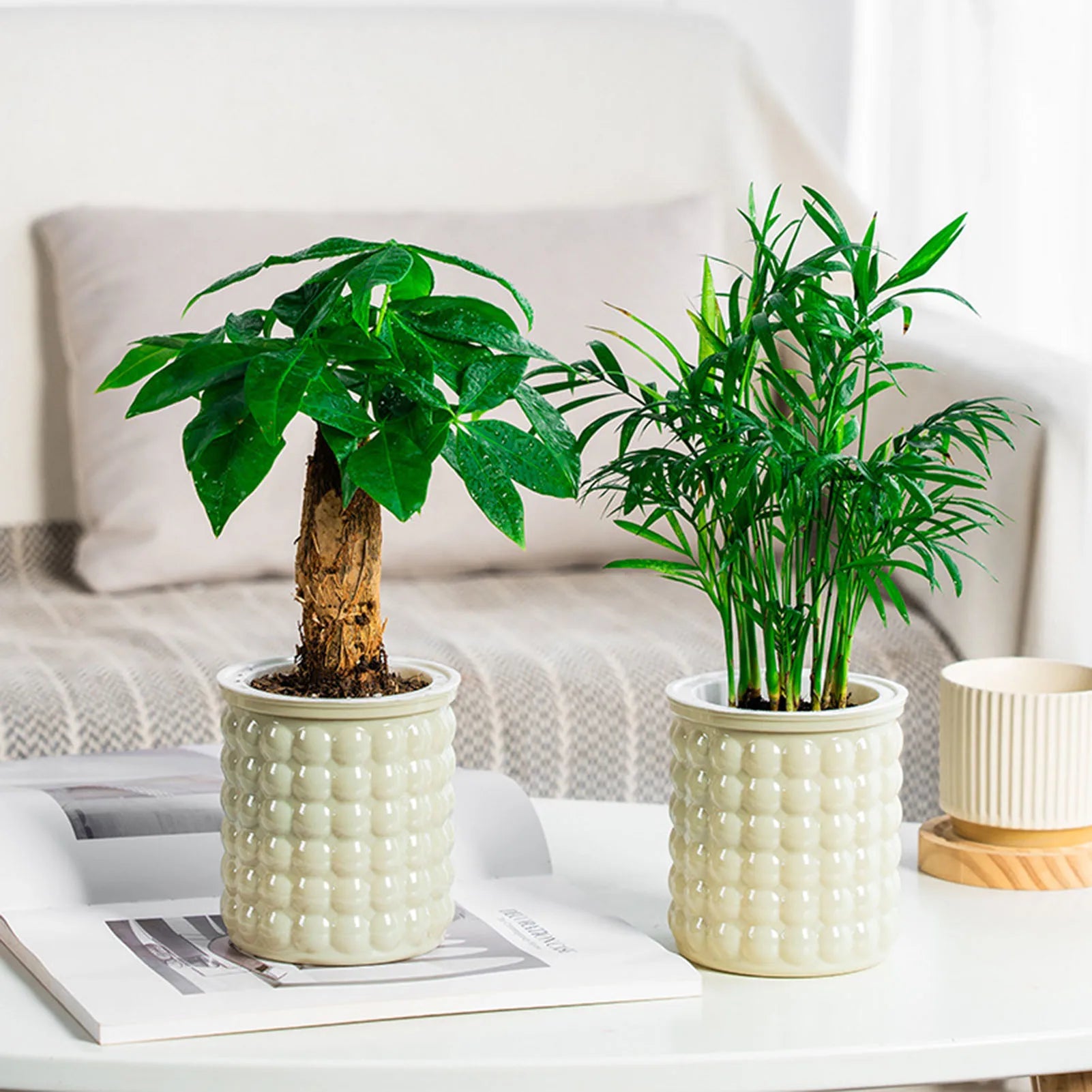 Hydropura Blumentopf | Selbstbewässernd & Erdlos | Modern & Pflegeleicht | 3er-Set
