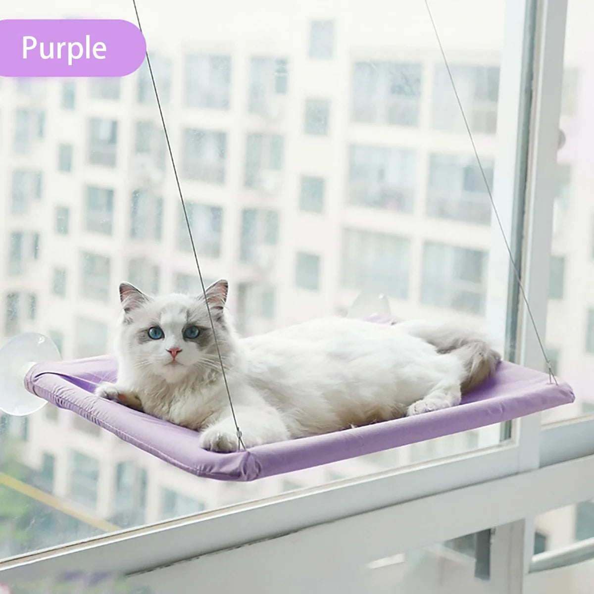 Purrvana | Fensterliege Für Katzen | Starke Saugnäpfe | Waschbar | Bis 20 kg Tragkraft
