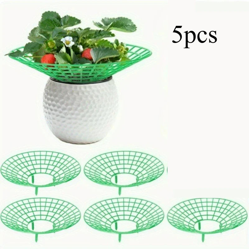BerryGuard | Pflanzenstützen für Erdbeeren | Schützt vor Fäulnis & Schmutz | Stabil & Wiederverwendbar