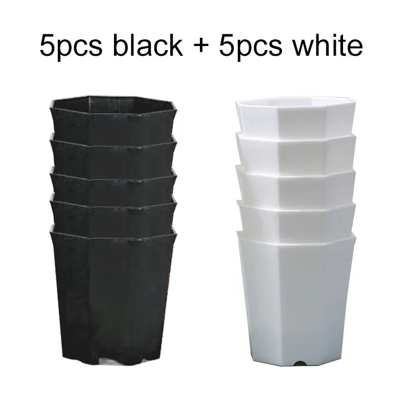 GeoPlant Octa Blumentopf-Set | 10er Set Achteckig | Schwarz-Weiß Minimalismus | Für Kakteen & Sukkulenten | 8 cm
