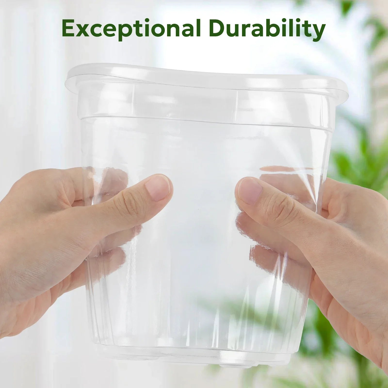 ClearRoot Pots | Transparente Pflanztöpfe | Mit Drainage | Für Anzucht & Zimmerpflanzen