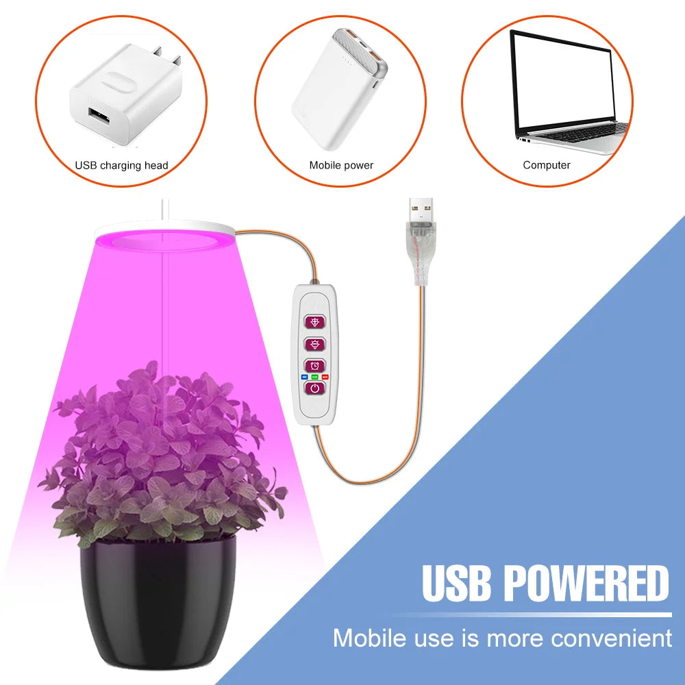 Plantuno Ring Pflanzenlampe | LED Grow Light mit Timer | USB | Dimmbar & 3 Lichtfarben | 1–4 Köpfe