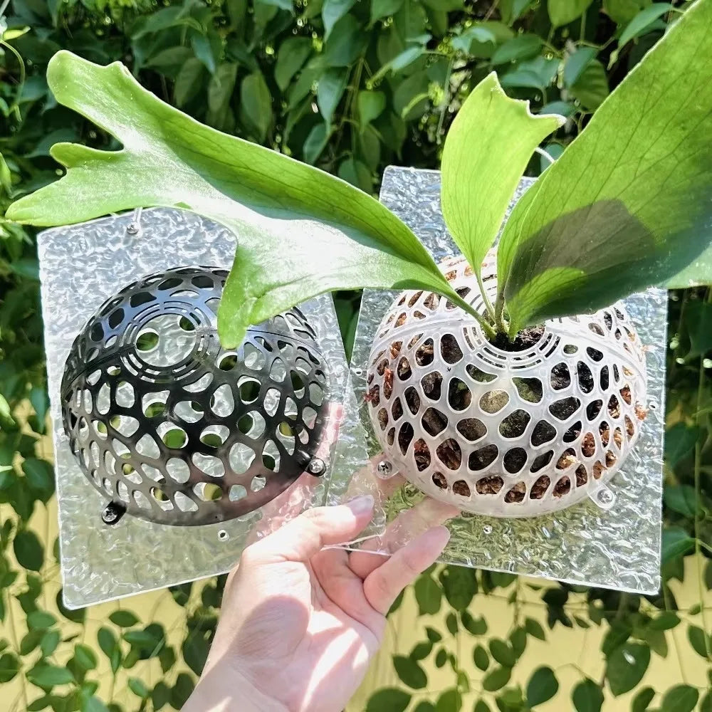 FloraGuard Pflanzenschutz-Abdeckung für Blumenerde | 15×7,5 cm | Für Orchideen & Wasserpflanzen | Abnehmbar & Wiederverwendbar
