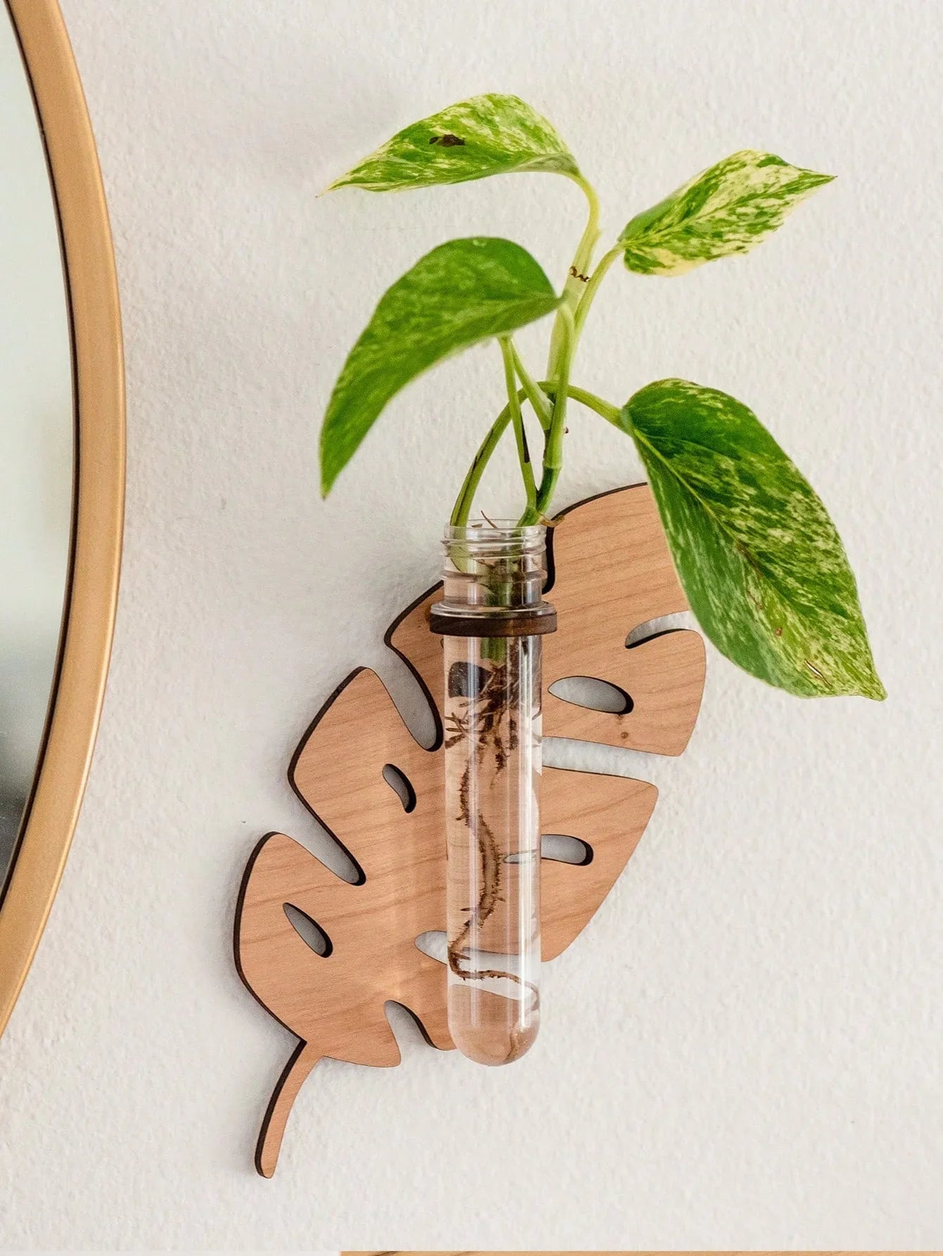 LeafCraft Wandvasen | Dekorative Pflanzenhalter | Handgefertigtes Holz & Reagenzglas