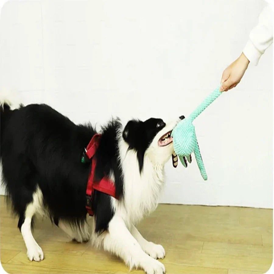 Bellosquid Hundespielzeug | Weiches Oktopus-Kauspielzeug mit Quietschfunktion | Zahnpflege & Spielspaß für alle Hunderassen