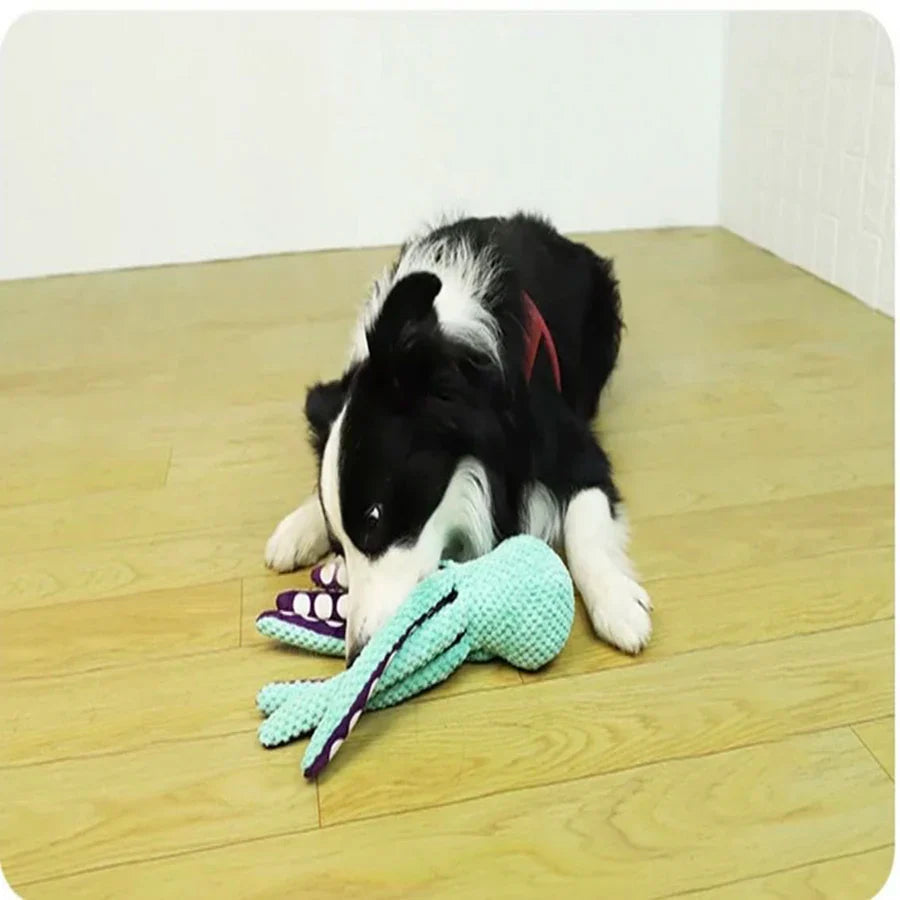 Bellosquid Hundespielzeug | Weiches Oktopus-Kauspielzeug mit Quietschfunktion | Zahnpflege & Spielspaß für alle Hunderassen