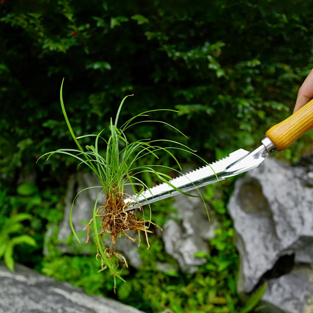 GardenPro | Handschaufel Edelstahl | Ergonomischer Buchenholzgriff | Vielseitig Einsetzbar