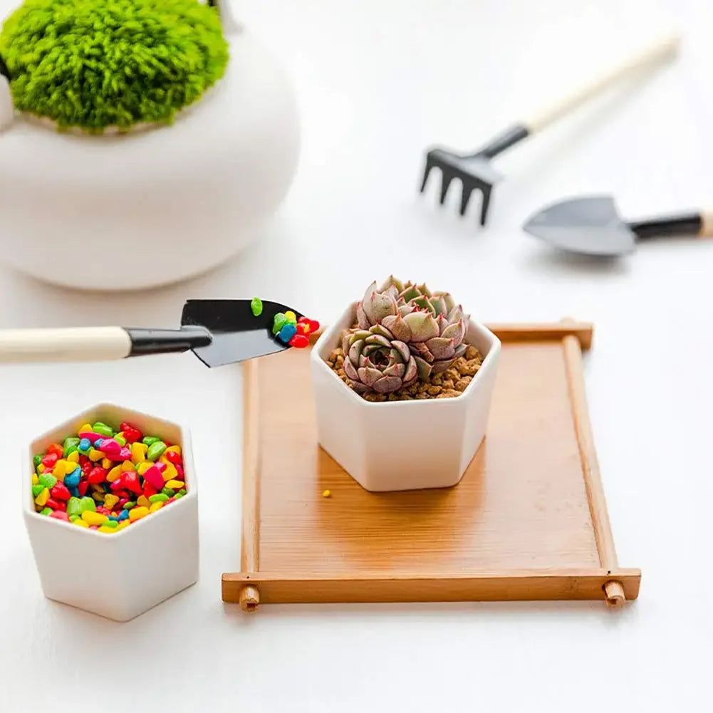 PlantCraft | Mini Gartenwerkzeug-Set | Ergonomisch & Langlebig | Für Kleine Pflanzen