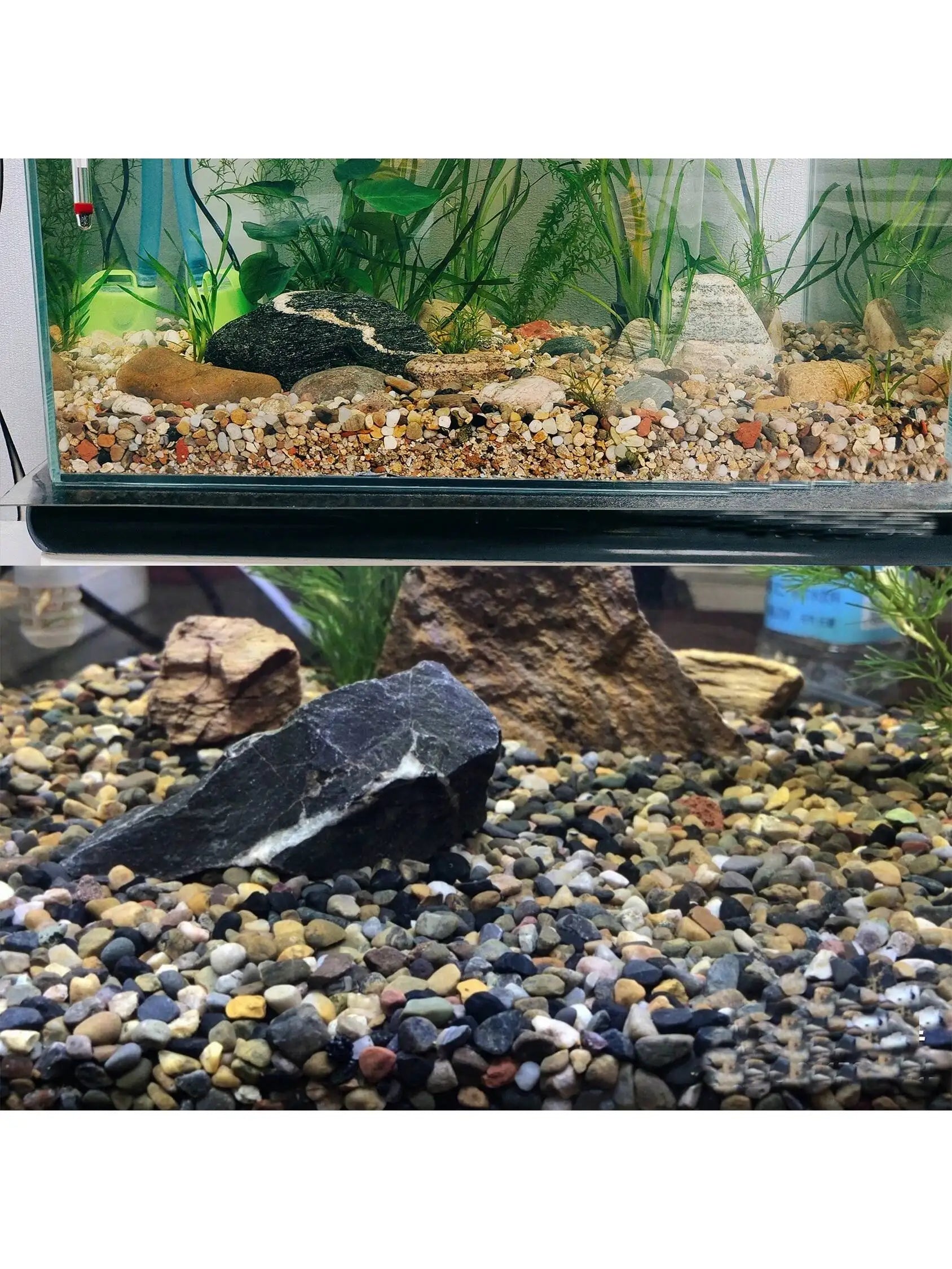 StoneGlam Zierkiesel | Natürliche Farben | Vielseitig & Dekorativ | Für Garten, Aquarium und mehr