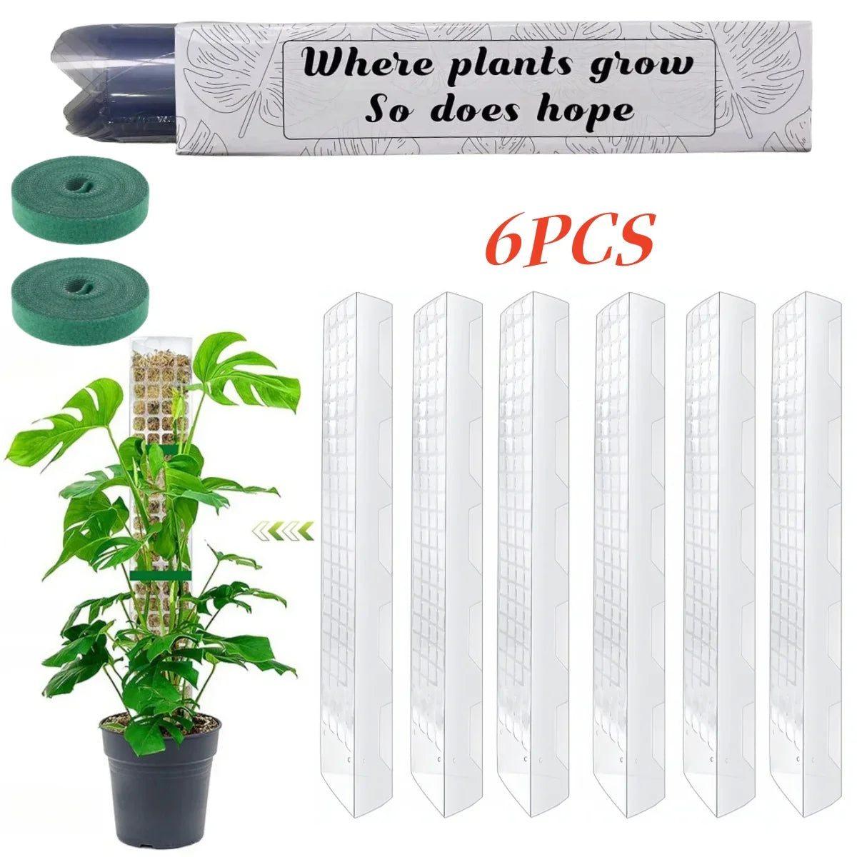 GrowMaster ClimbaLeaf Moosstab-Set | Transparent & Flexibel | Für Kletterpflanzen | Fördert Vertikales Wachstum