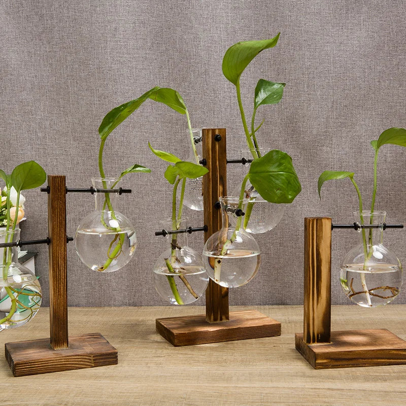 Vasoya Glasvasen | 3er-Set mit Holzrahmen | Skandinavisch & Vielseitig | Für Blumen & Hydrokultur