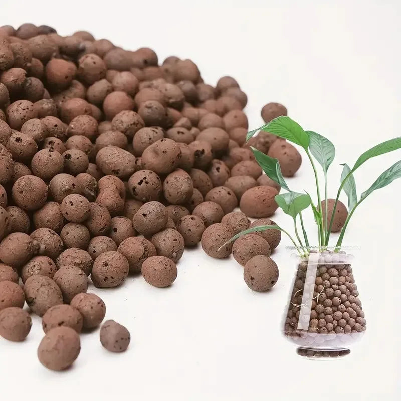 RootGuard | Blähton-Kugeln | Optimale Belüftung | Organisch & Wiederverwendbar