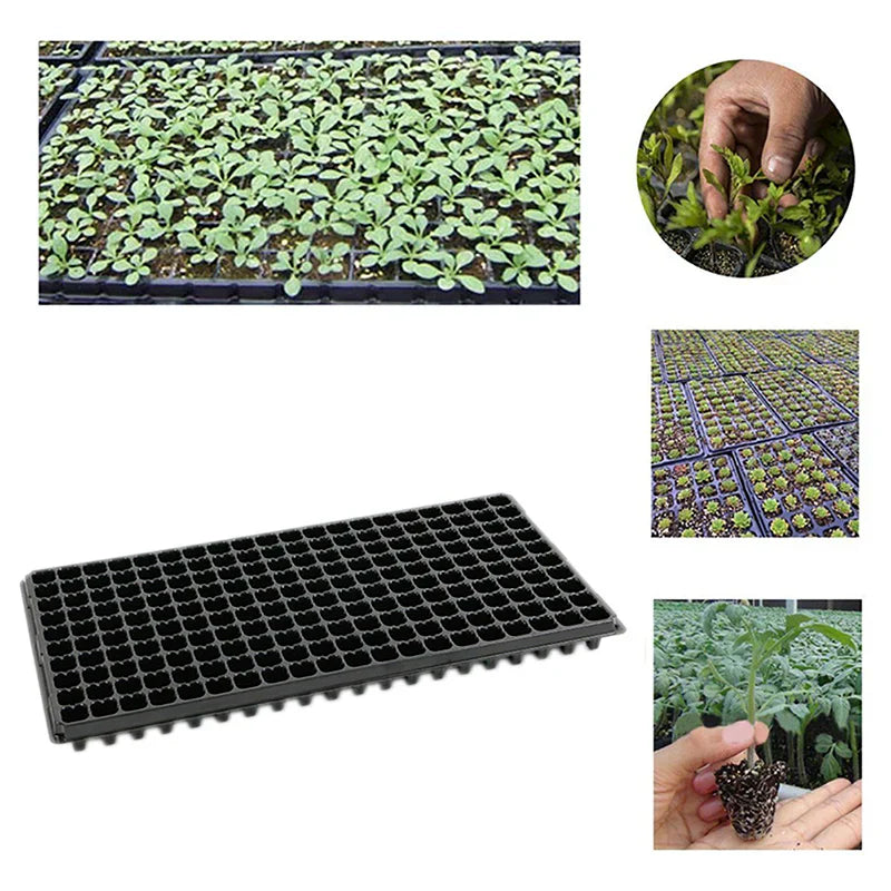 PlantGrow 200er Anzuchtplatte | PVC Keimschale mit Drainage | Wiederverwendbar | Für Gemüse, Kräuter & Obst
