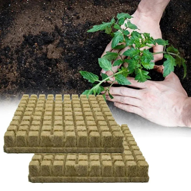 GrowFlex Cubes | Vulkangestein | Steril & Atmungsaktiv | 50 Stück