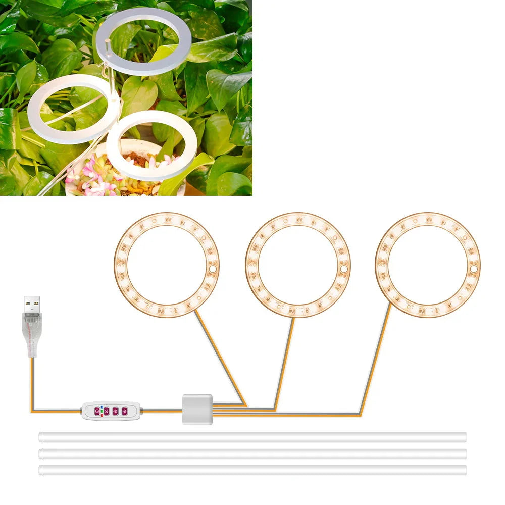 Plantuno Ring Pflanzenlampe | LED Grow Light mit Timer | USB | Dimmbar & 3 Lichtfarben | 1–4 Köpfe