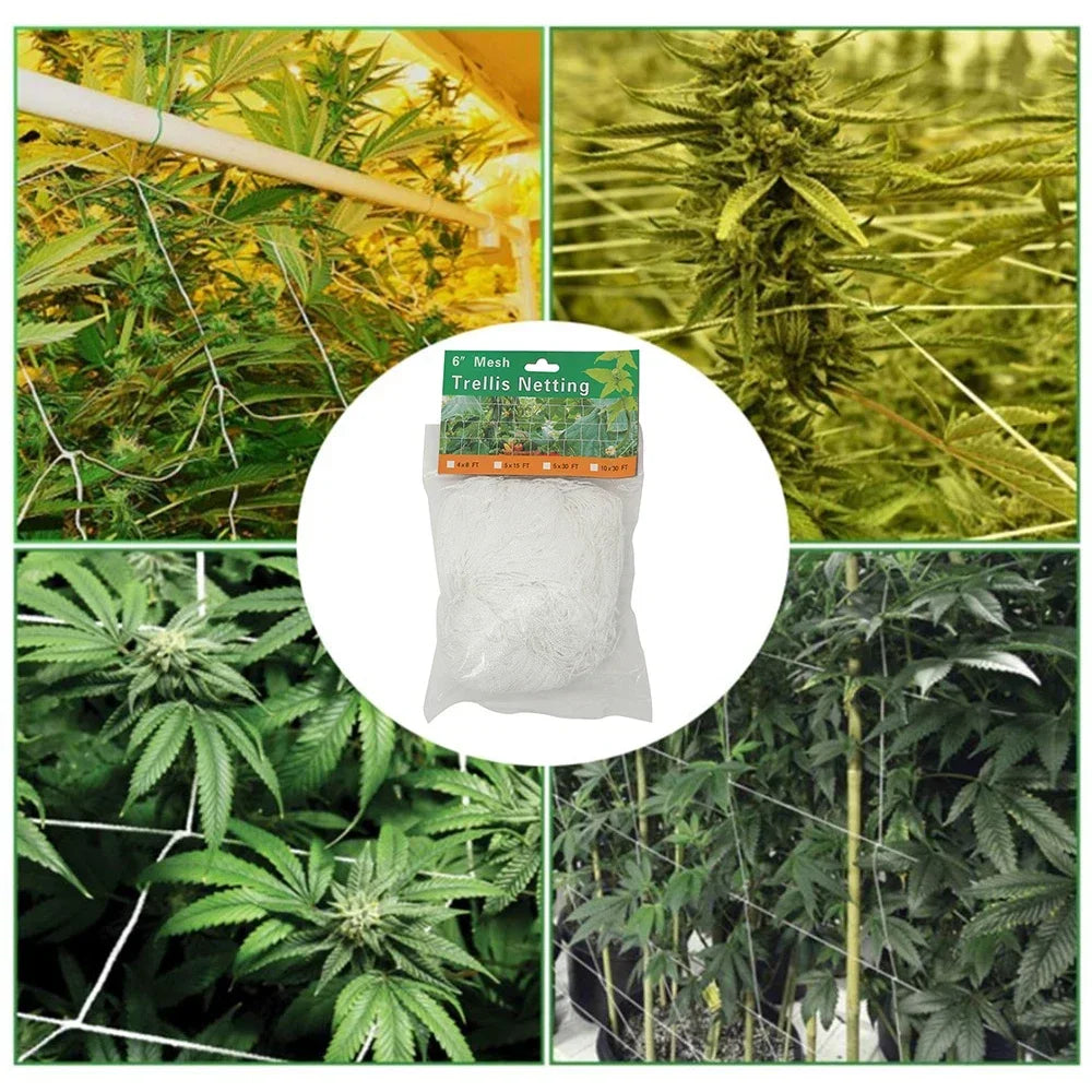 GrowMax Kletternetz | Platzsparende Rankhilfe für Pflanzen | UV-beständig und robust