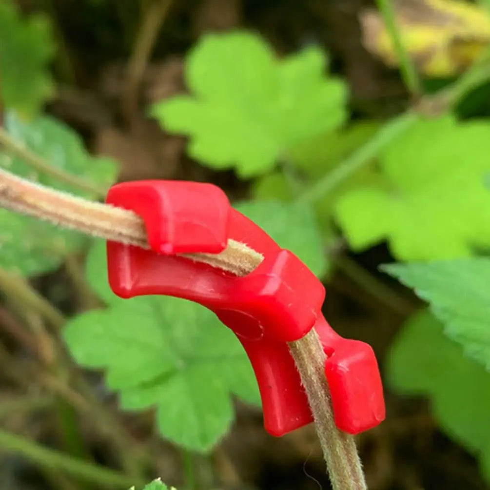 PlantFlexx Pflanzen-Clips | Low-Stress-Training für Besseres Wachstum | Für Triebe & Kräuter | Wiederverwendbar