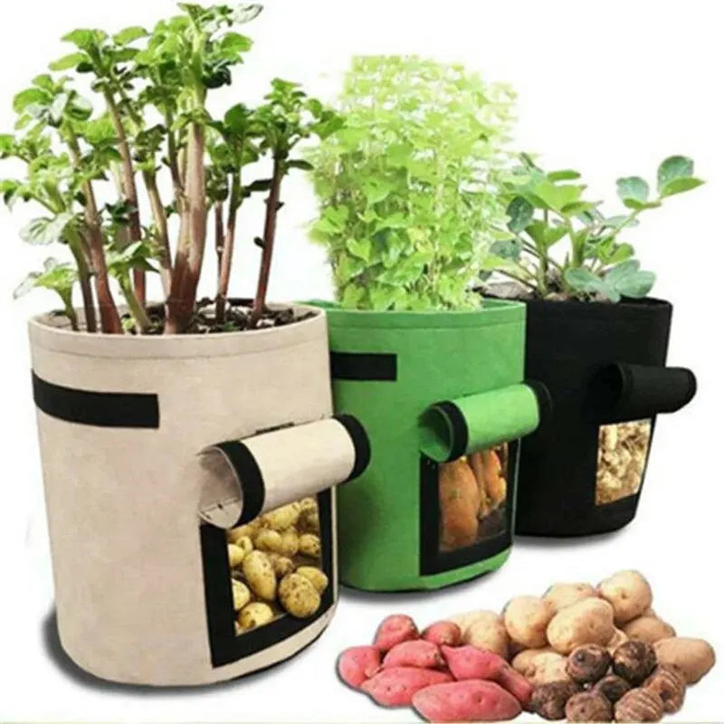 PlantMaster | Pflanzsack mit Sichtfenster | Atmungsaktives Vliesmaterial | Ideal für Gemüse und Kräuter