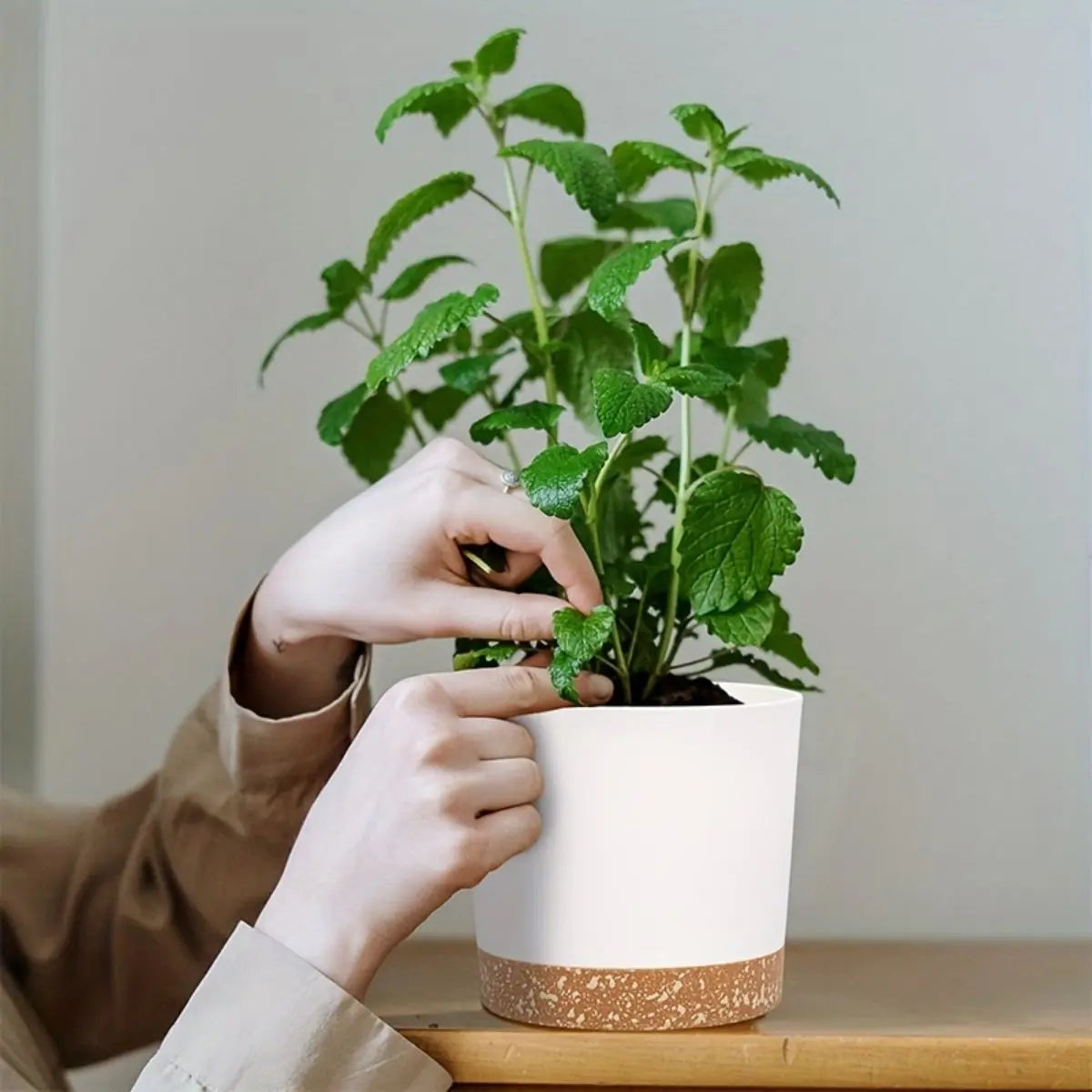 GreenRoot | Blumentöpfe mit Abnehmbarem Boden | Atmungsaktiv & Pflegeleicht | Modernes Design