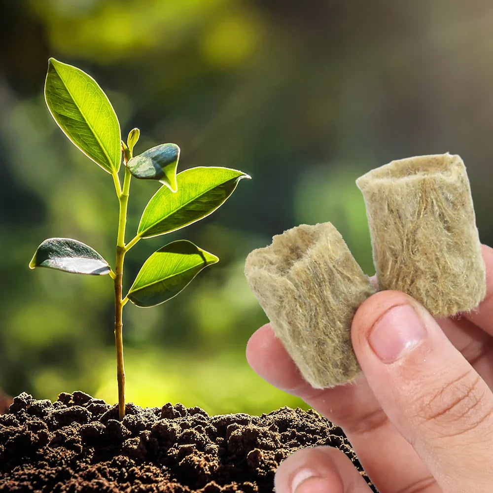 Rootify GrowPlugs | Steinwolle Anzuchtwürfel | Optimale Wurzelentwicklung | Saubere Hydrokultur