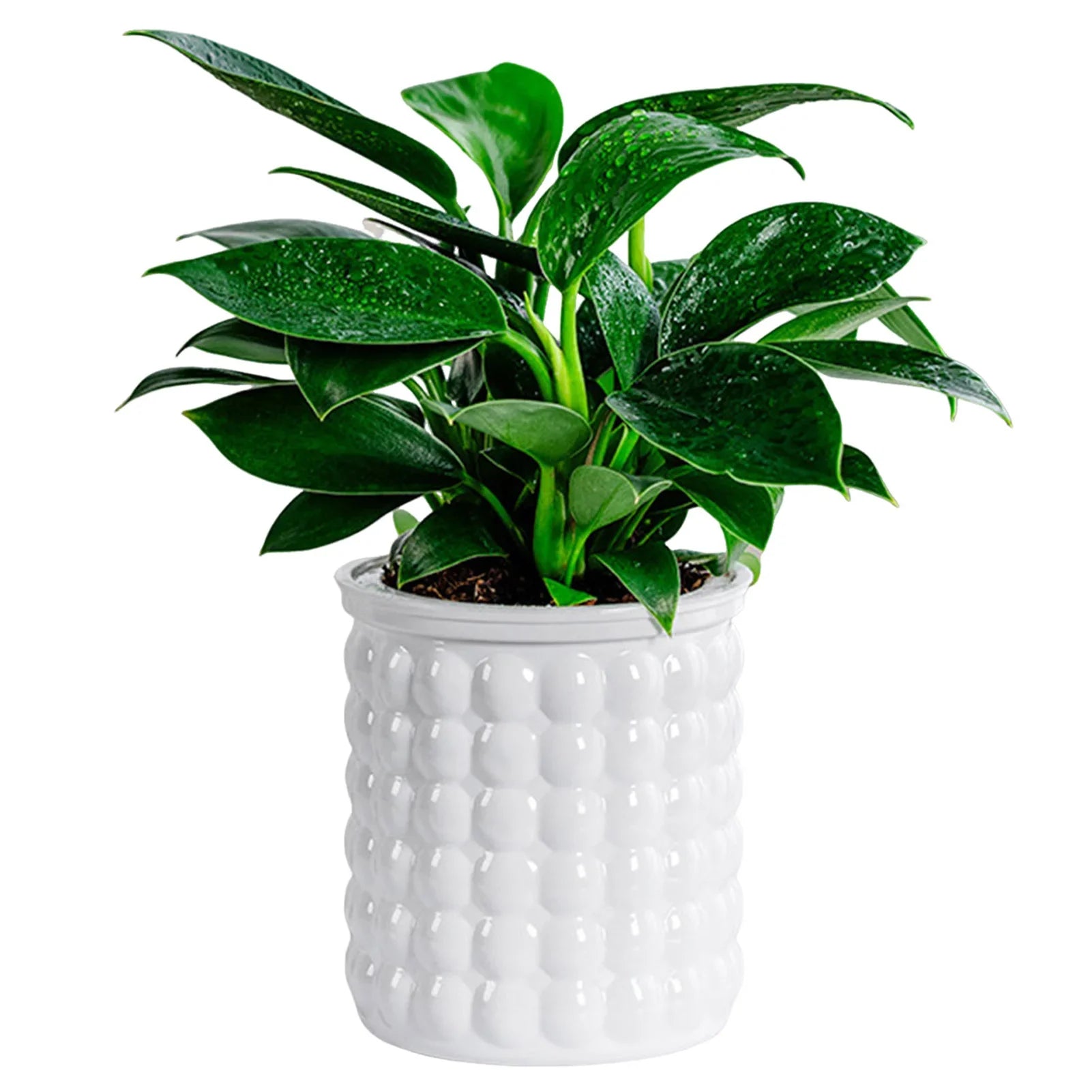 Hydropura Blumentopf | Selbstbewässernd & Erdlos | Modern & Pflegeleicht | 3er-Set