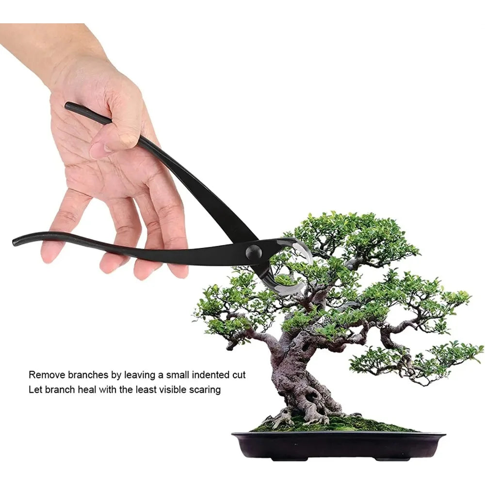 BonsaCut | Bonsai Konkavschneider | Hochfester Carbonstahl | Präzisionsschnitt für Bonsai-Pflege