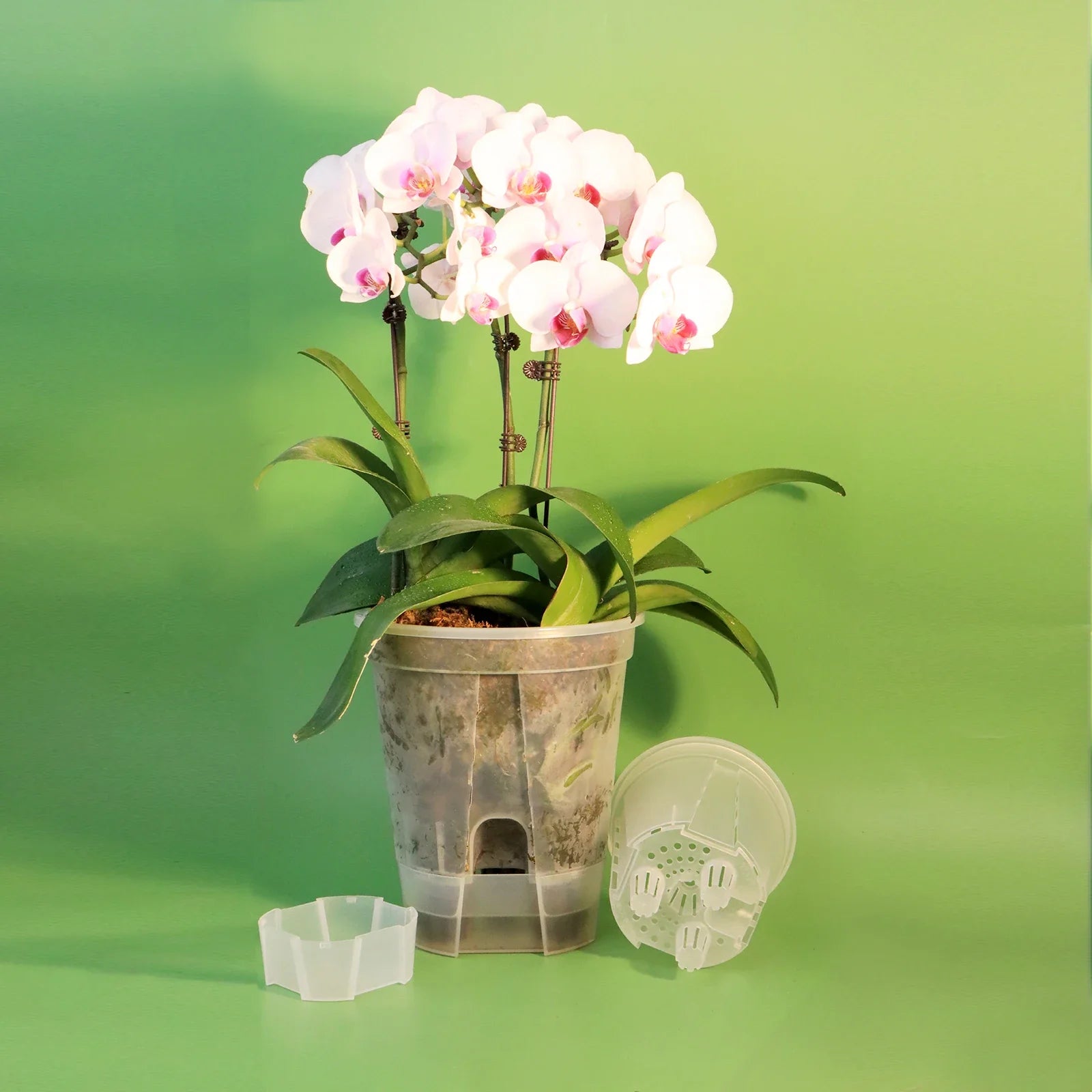 Clairvo Blumentopf | Transparent & Selbstbewässernd | Für Zimmerpflanzen & Orchideen