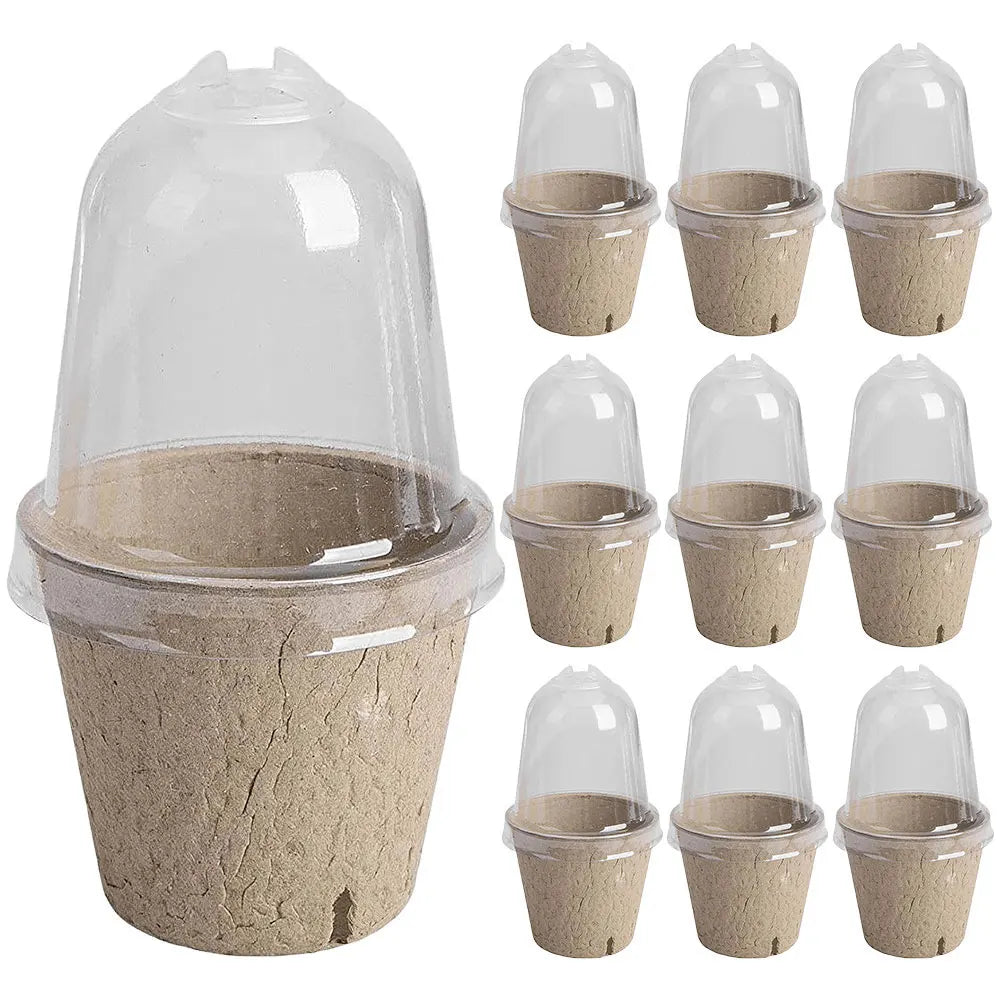 GreenSprout Bio-Anzuchtset | Kompostierbare Töpfe & Mini-Gewächshaus | Für Nachhaltige Pflanzenzucht