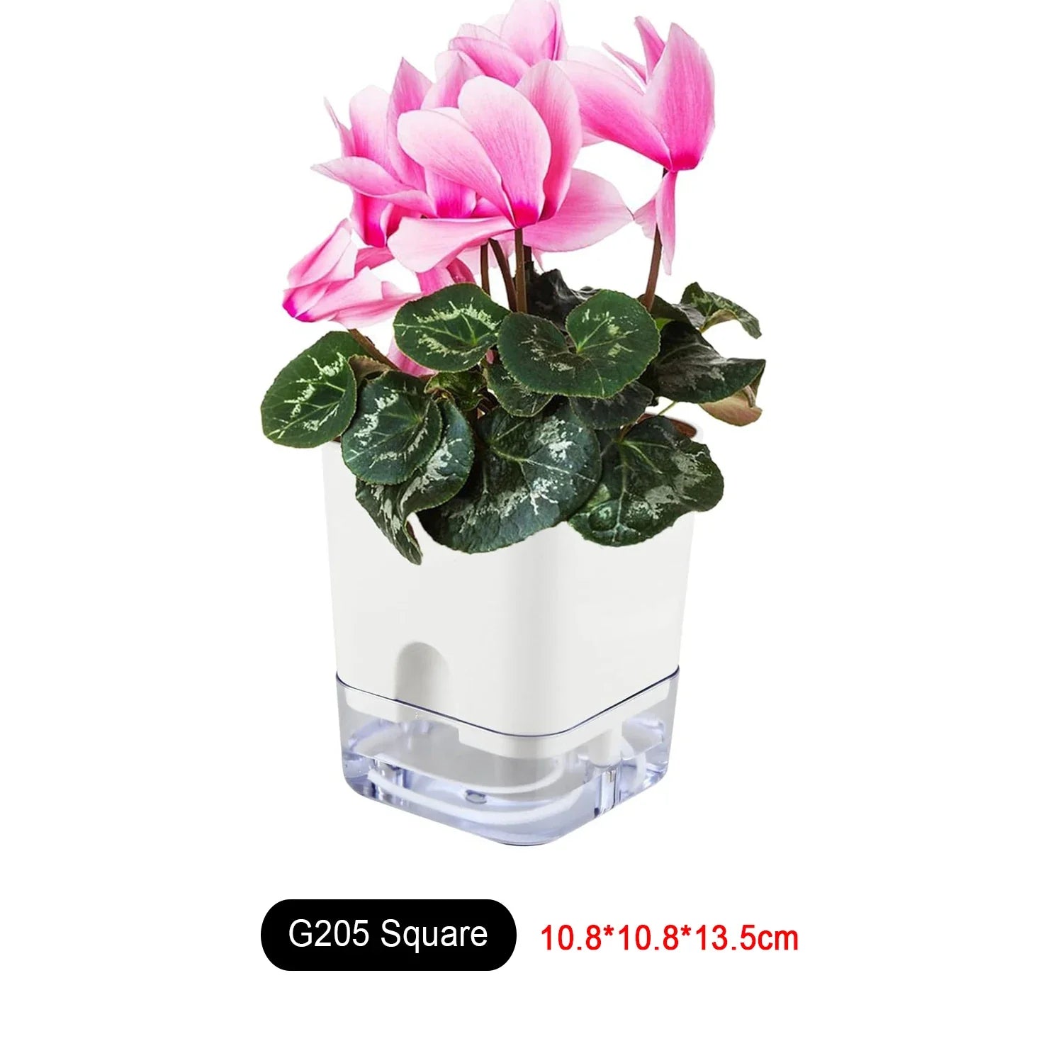 HydroLino Blumentopf | Selbstbewässerung | Kompakt & Transparent | Für Innenräume