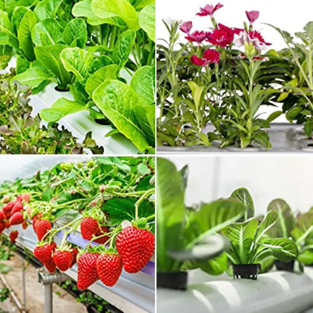 HydroGrow | 25er Set Hydroponik Netztöpfe | Wiederverwendbar | Für Aeroponik & Hydrokultur