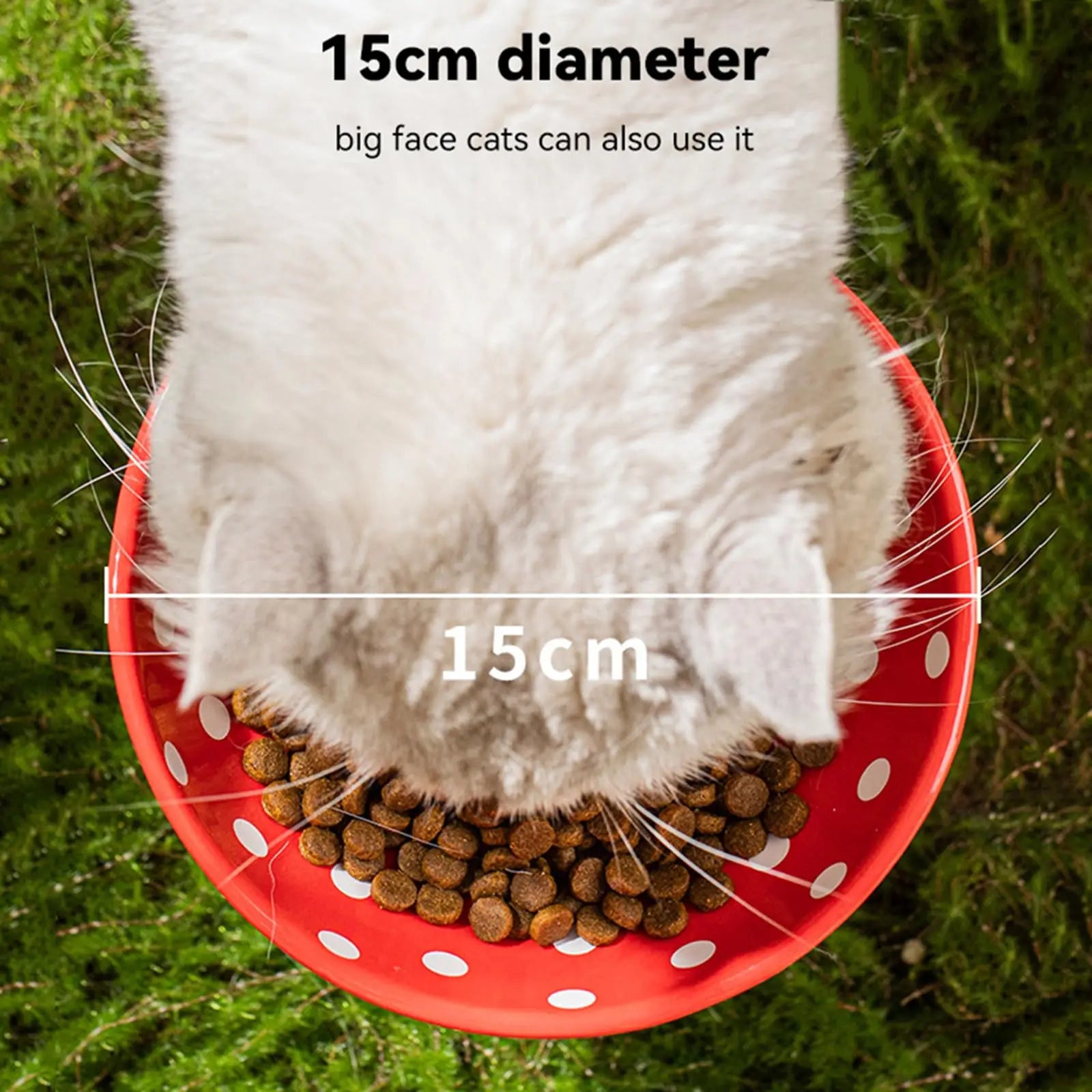 PawMush | Keramik-Katzennapf | Erhöht, ergonomisch & schnurrhaarfreundlich | Futter & Wasser