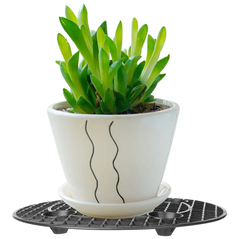 GreenBase Pflanzenteller | Schutz & Drainage | Rutschfest | Schwarz
