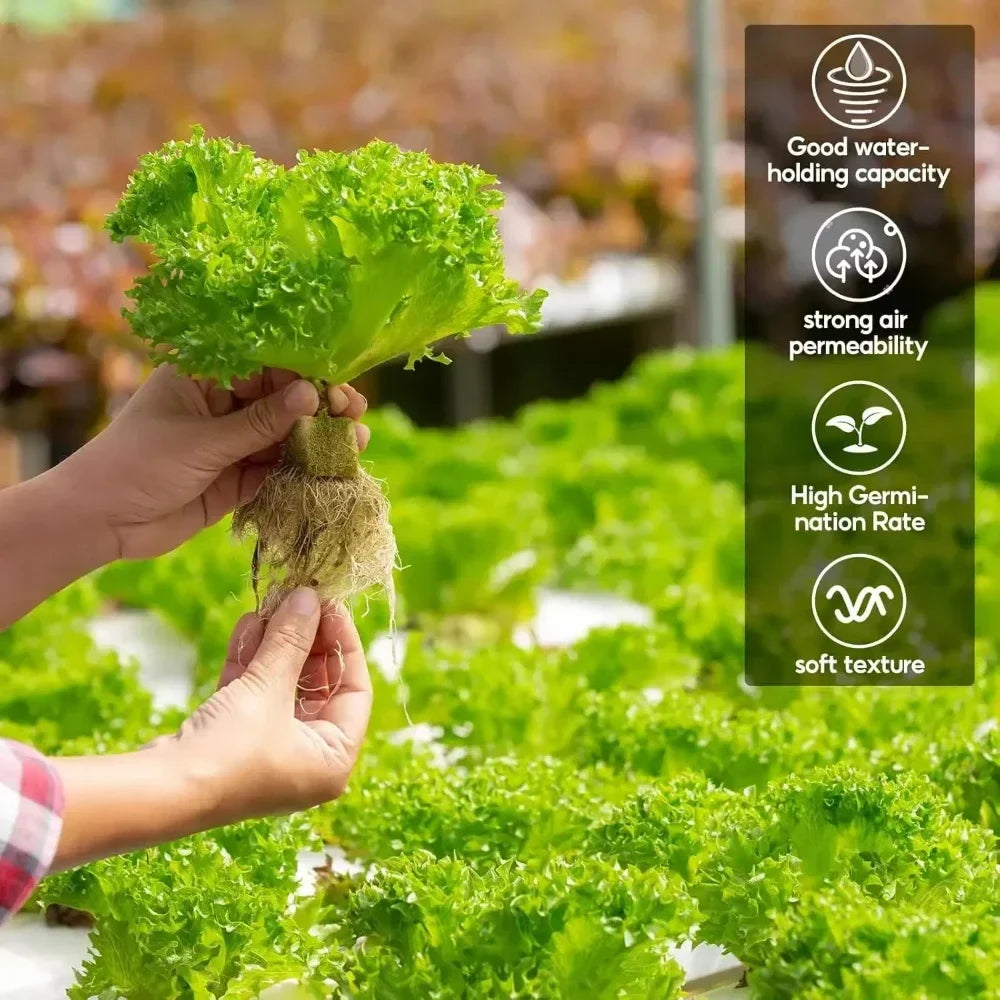 GreenCube | Anzuchtwürfel für Hydroponik | Optimal für Pflanzenwachstum | 50 bis 500 Stück