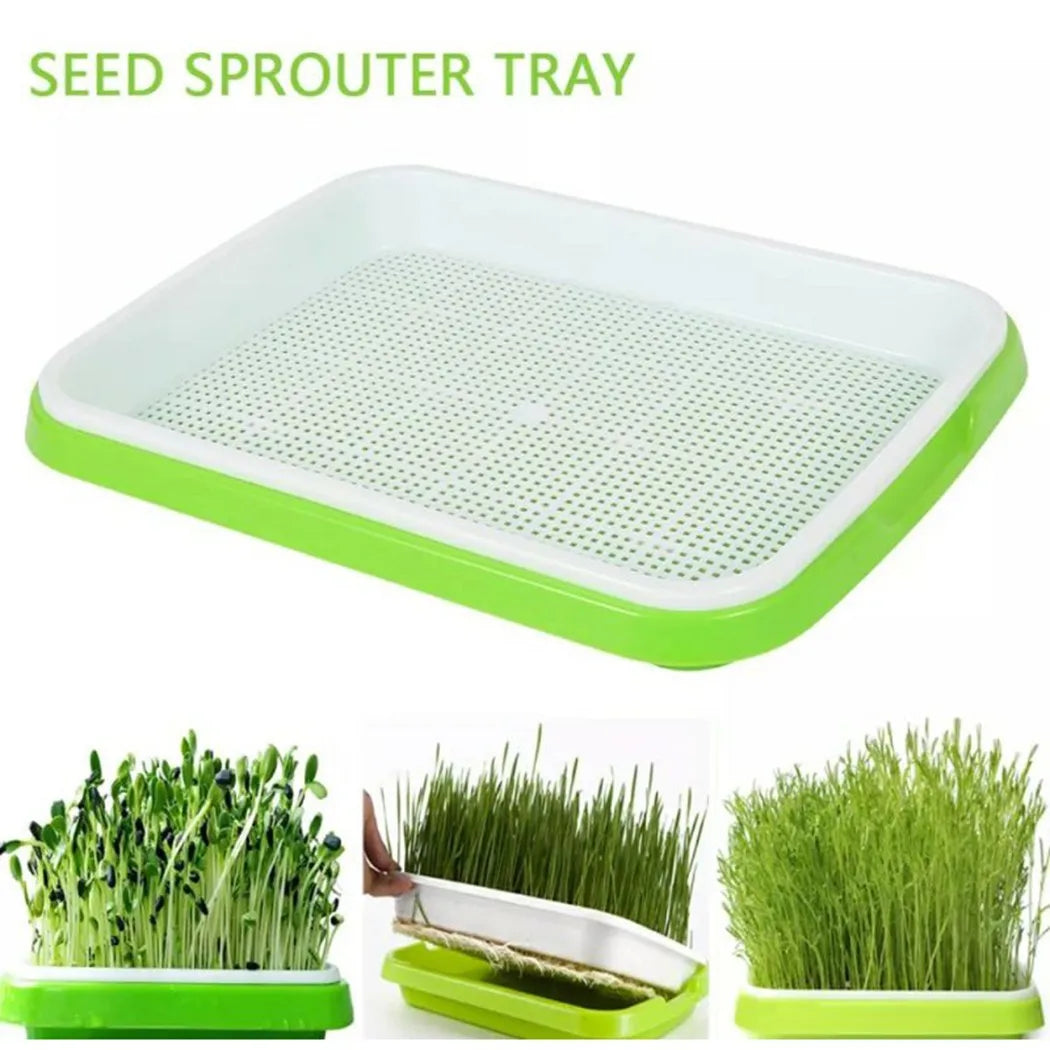 Grünello Keimschale | 2-Schicht-System | Für Microgreens & Sprossen | BPA-freier Kunststoff