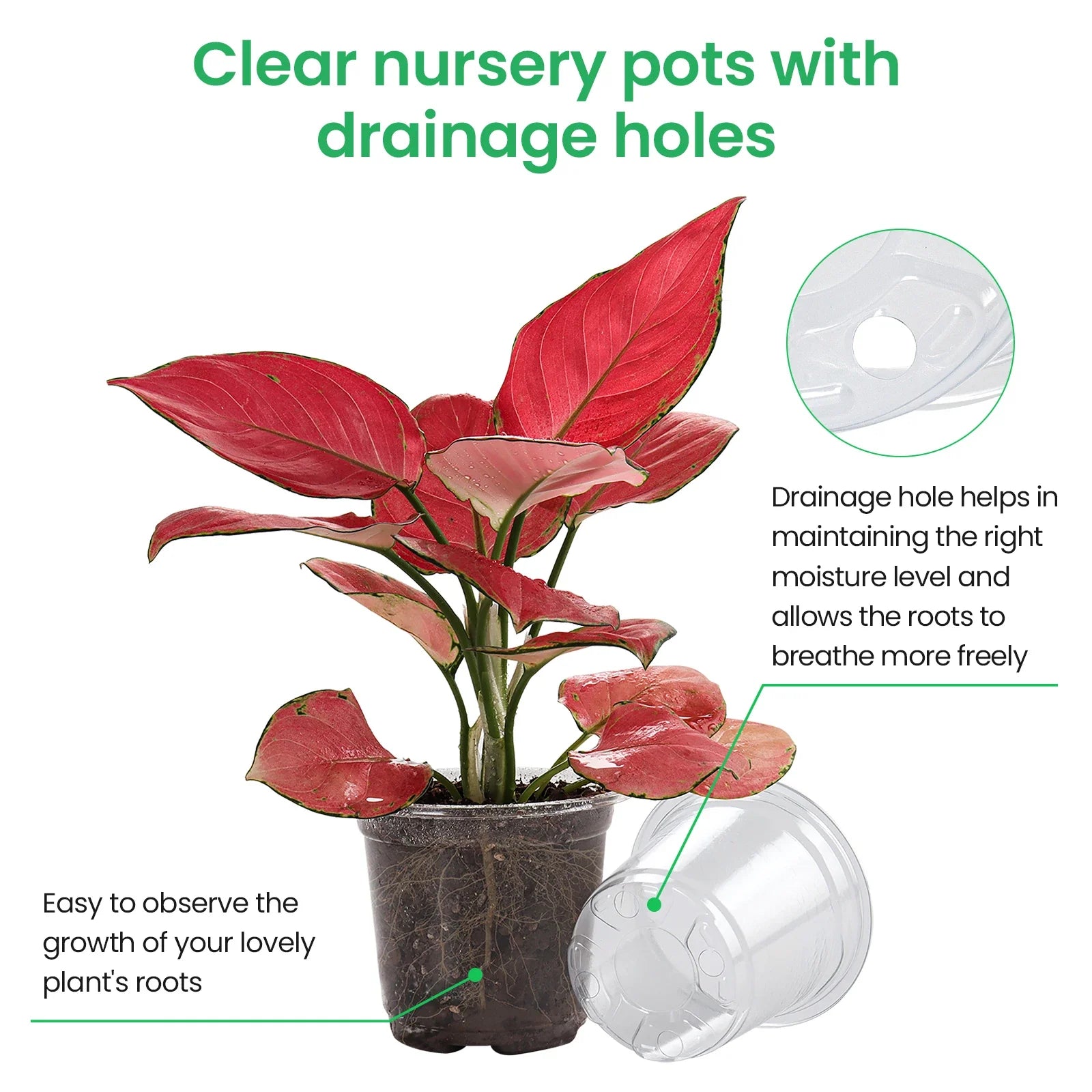 Rootiva Pflanztopf-Set | Transparent & Flexibel | 30-teilig | Für Anzucht & Umtopfen