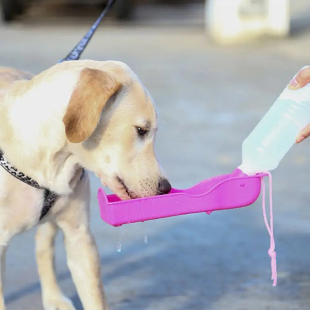 HydroPaw Travel Bottle | Hunde Trinkflasche mit Schale | Einhand-Bedienung & Auslaufsicher | BPA-frei & Kompakt