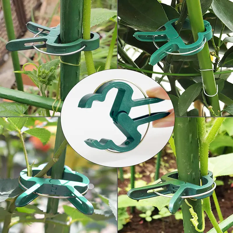 Floraclip Pflanzenclips | Wiederverwendbar & Wetterfest | Für Tomaten & Kletterpflanzen | 50er Set