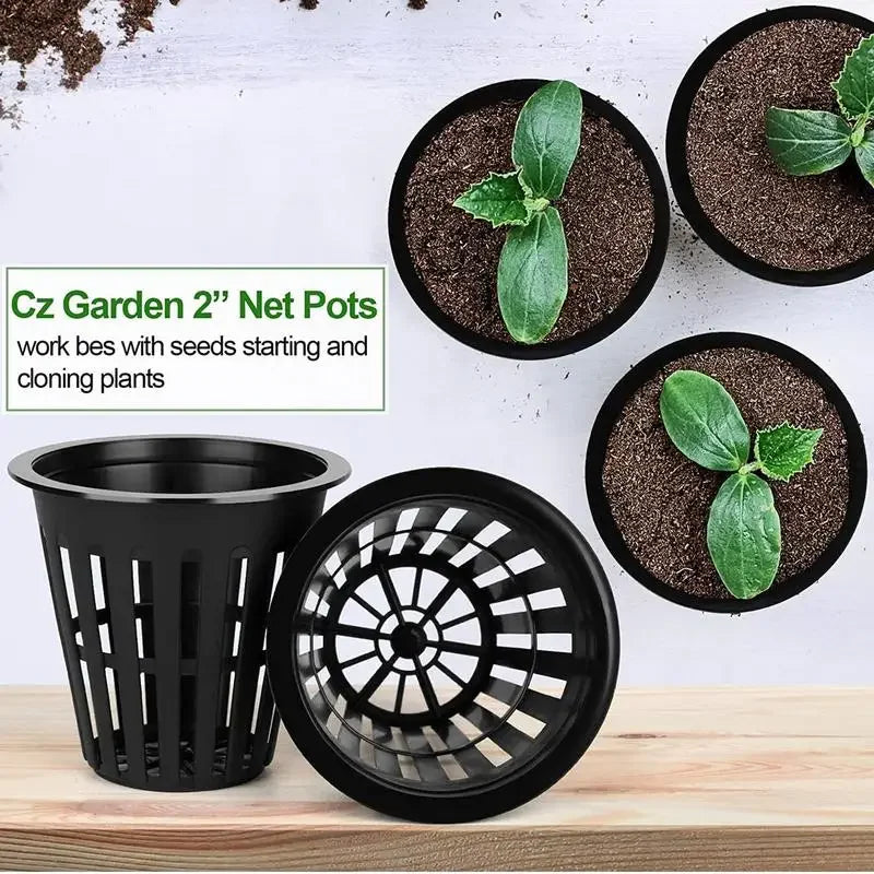 RootGrow Pro | Netzbecher für Hydroponik | Optimale Belüftung & Drainage | UV-beständig