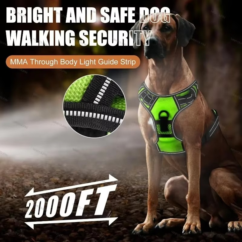 PawGuard – Sicher & stilvoll Gassi gehen!