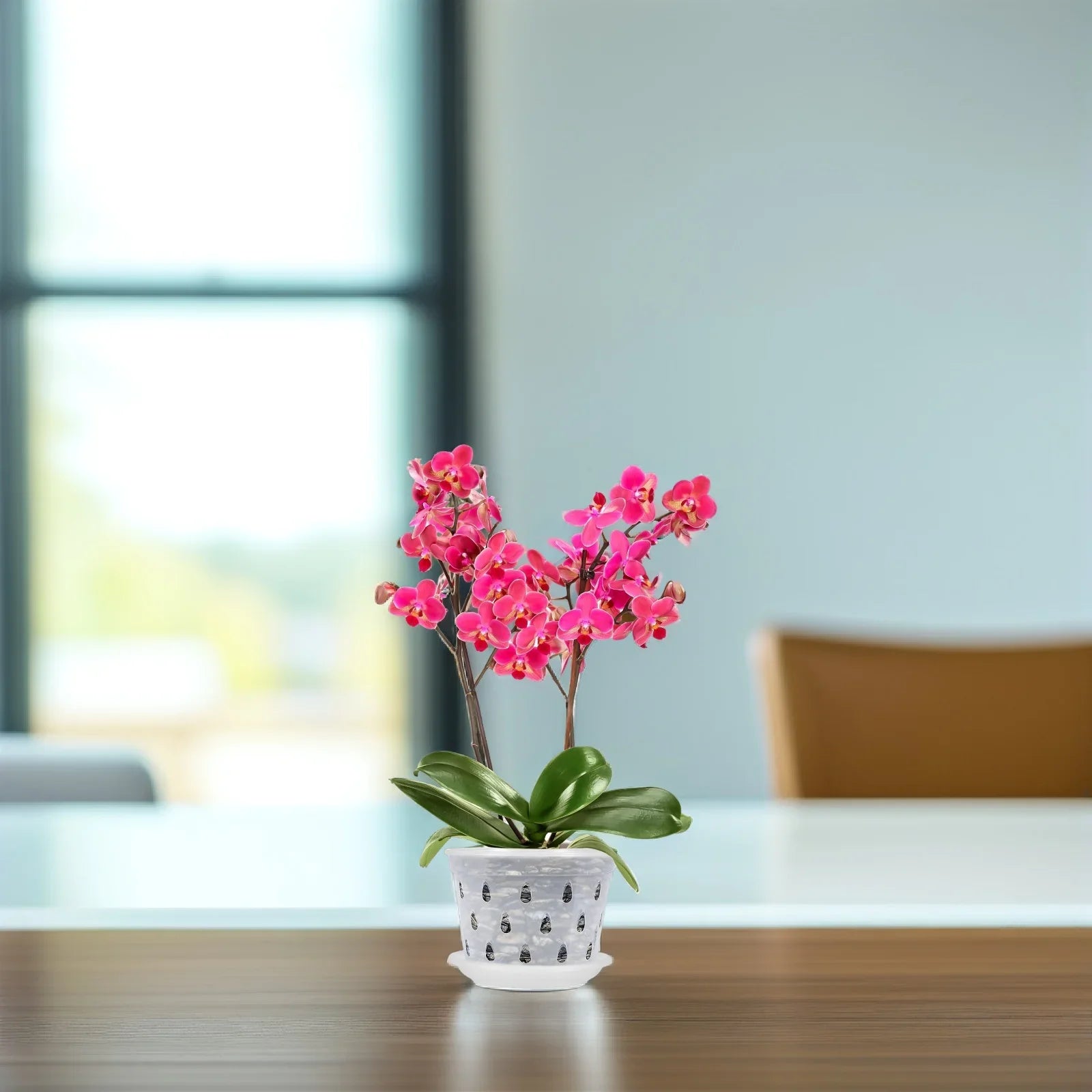 FlorVista | 5er Set Orchideen Blumentöpfe | Transparent & Stabil | Mit Drainagelöchern für Gesundes Wachstum