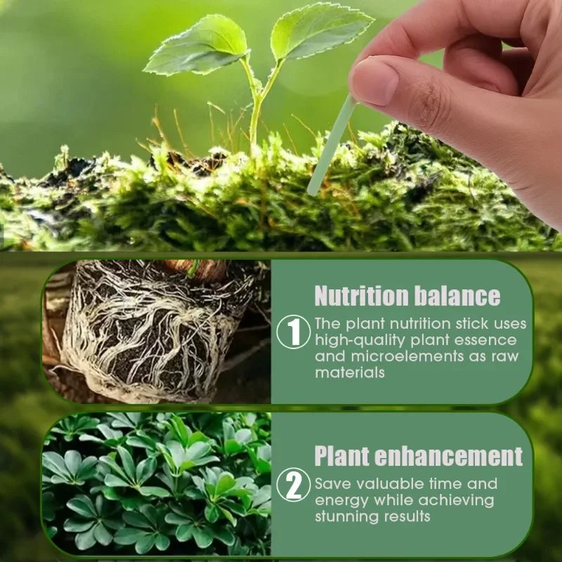 GrowLeaf Sticks | Pflanzendünger-Stäbchen | Einfach & Effektiv | Für Alle Pflanzenarten