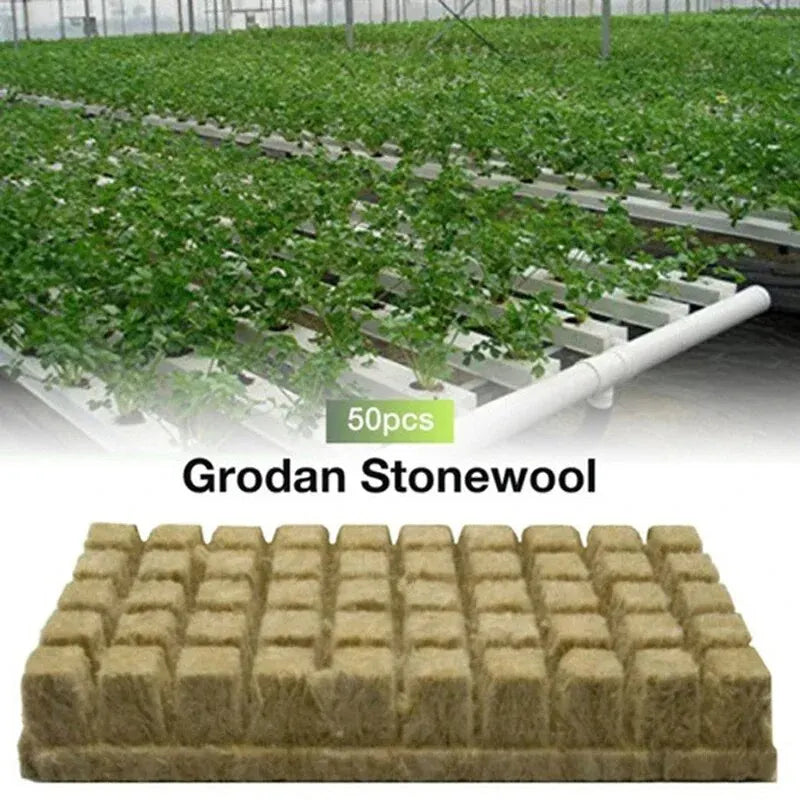 GrowFlex Cubes | Vulkangestein | Steril & Atmungsaktiv | 50 Stück