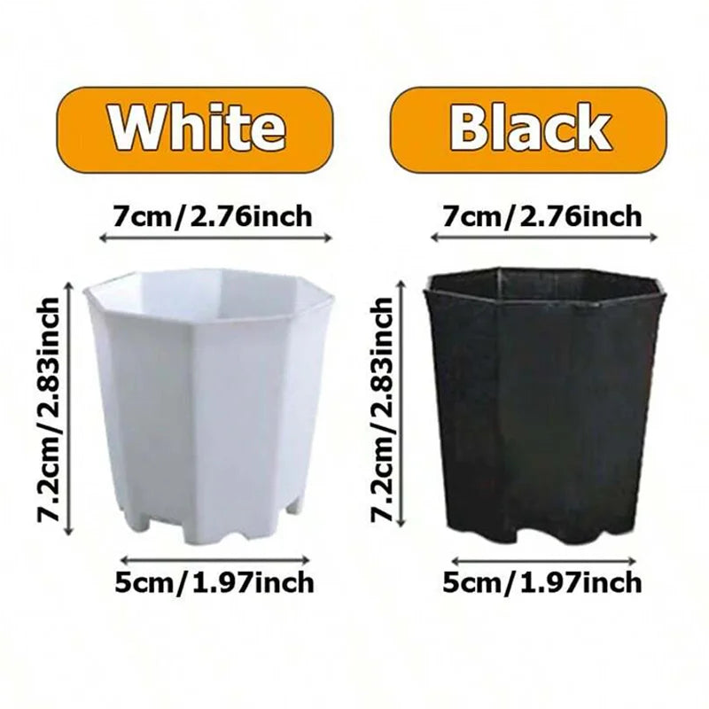 GeoPlant Octa Blumentopf-Set | 10er Set Achteckig | Schwarz-Weiß Minimalismus | Für Kakteen & Sukkulenten | 8 cm