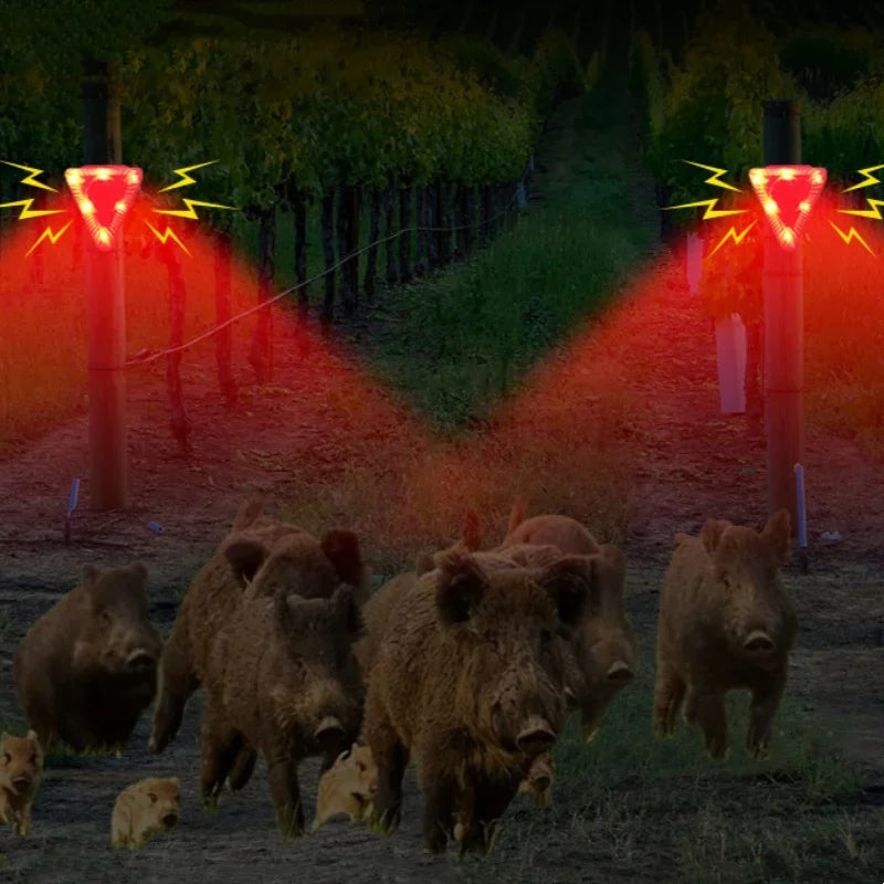 SafeGuard Solar Alarmleuchte | Hundegebell & Solarenergie