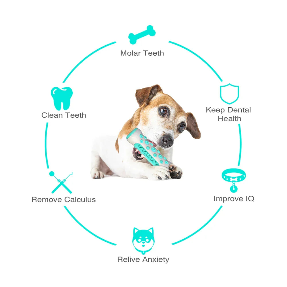 DentalPlay Hundespielzeug | Effektive Zahnreinigung | Stressabbau | Interaktives Kauspielzeug | Bissfest & Sicher