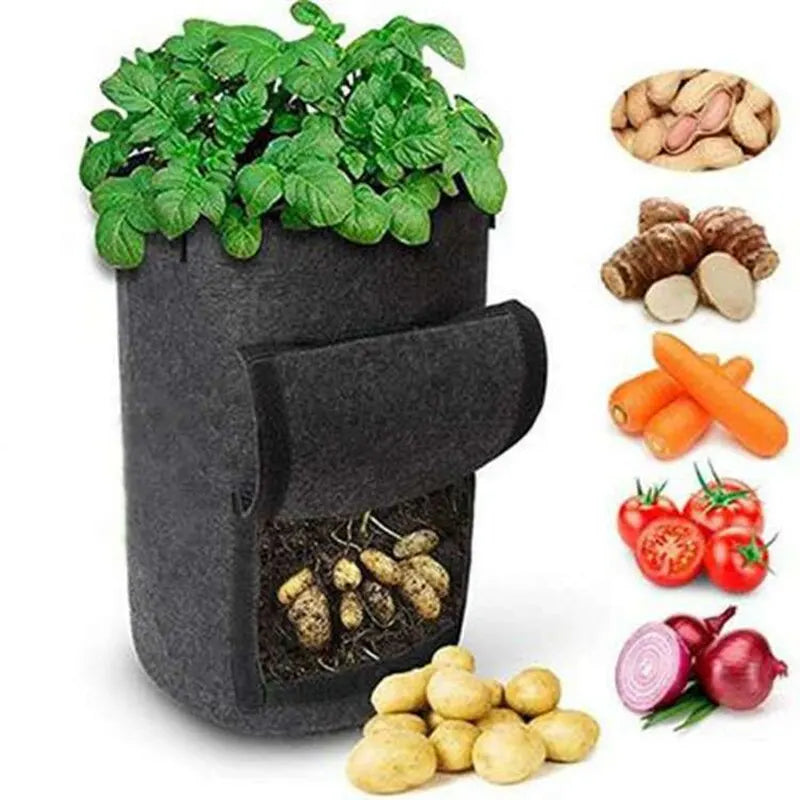 PlantMaster | Pflanzsack mit Sichtfenster | Atmungsaktives Vliesmaterial | Ideal für Gemüse und Kräuter