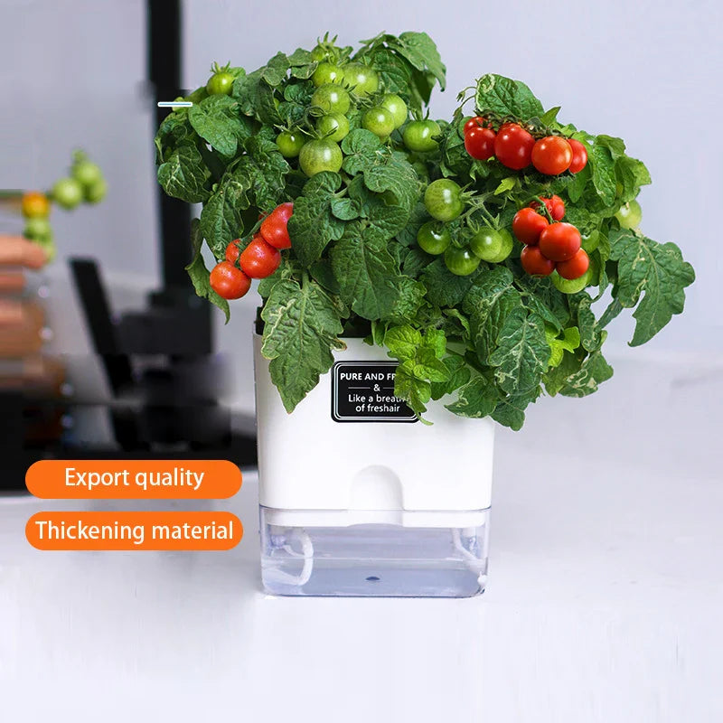 HydroLino Blumentopf | Selbstbewässerung | Kompakt & Transparent | Für Innenräume