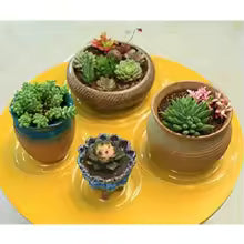 ClearGarden Blumentopfuntersetzer | Transparente & Vielseitige Abdeckung | Recycelbares PET