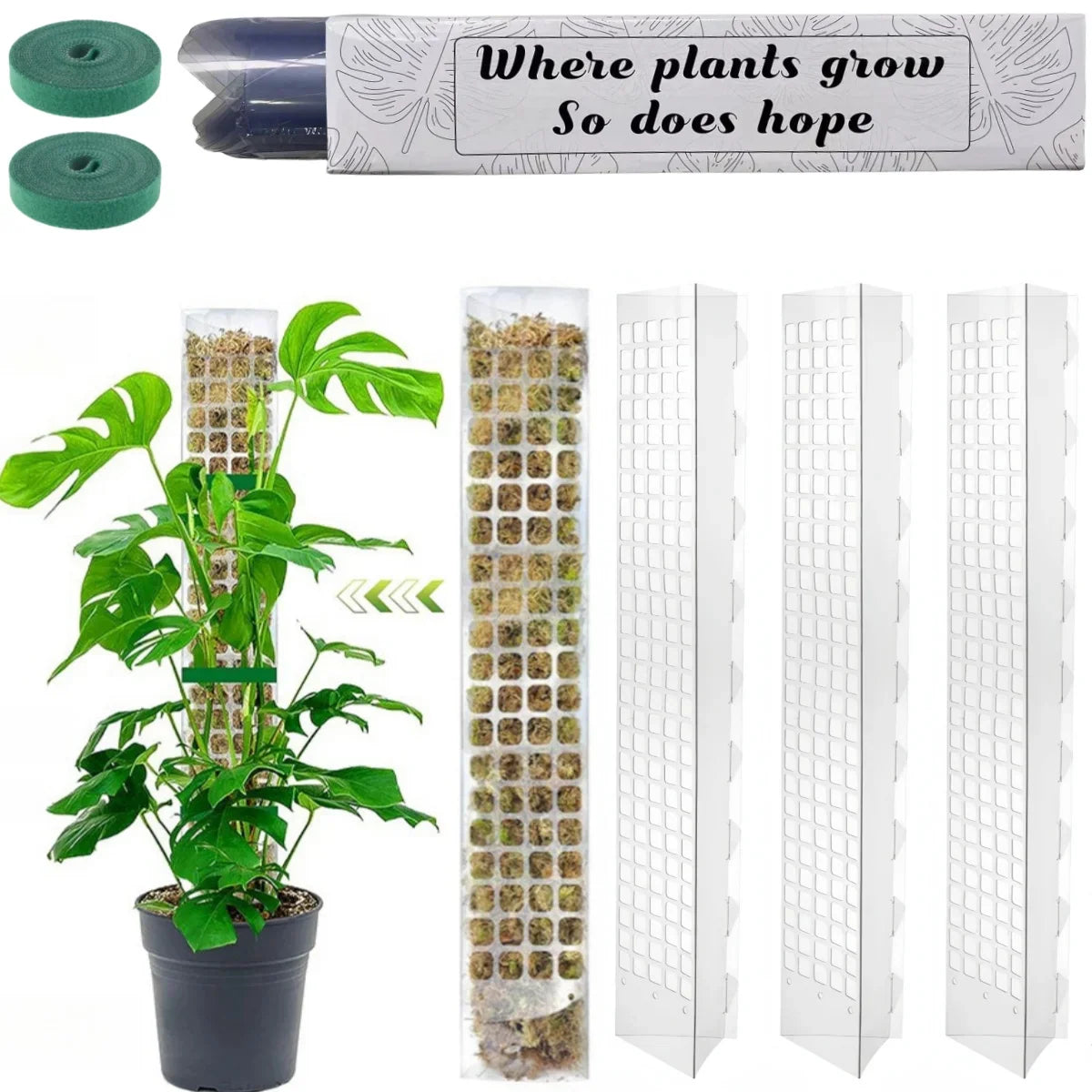 GrowMaster ClimbaLeaf Moosstab-Set | Transparent & Flexibel | Für Kletterpflanzen | Fördert Vertikales Wachstum