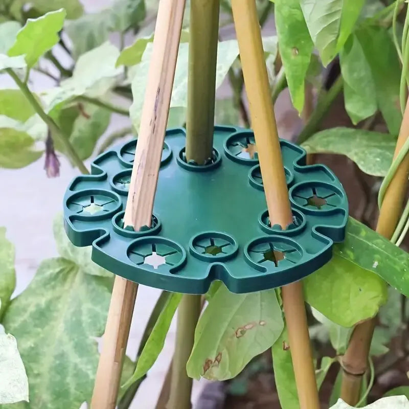 PlantPro Ring | Stabile Pflanzenstütze | UV-beständig & Flexibel | Kunststoff
